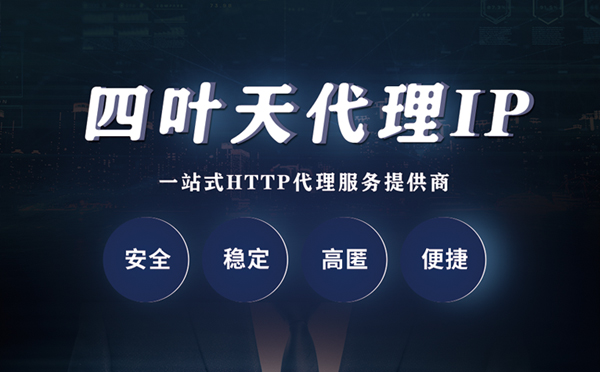 【林芝代理IP】代理ip客户端使用教程