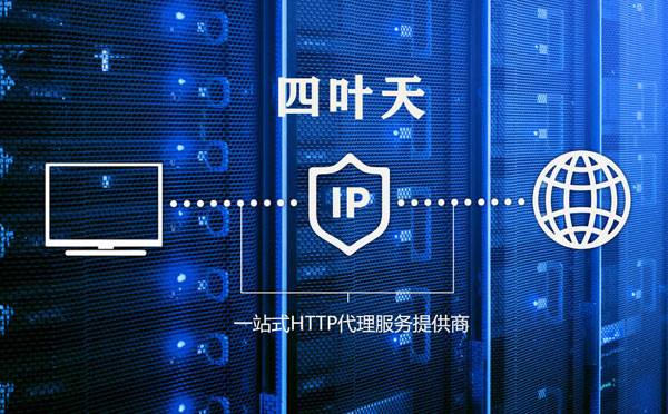 【林芝代理IP】代理IP的主要用途和使用注意事项